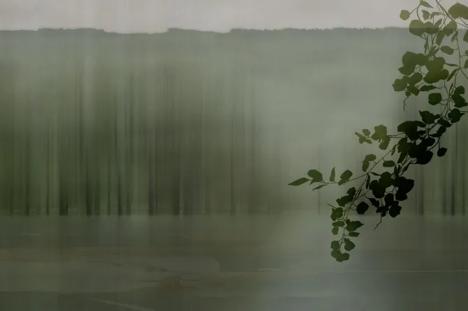 Tapeta Amazzonia — dílec B