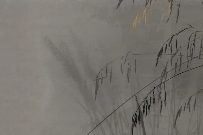 Tapeta Anthea — dílec B