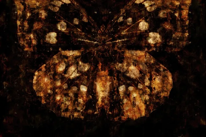 Tapeta Belladonna — dílec B
