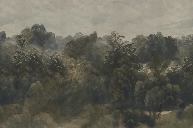 Tapeta Bellagio — dílec B