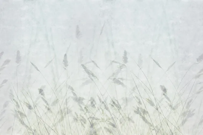 Tapeta Blur — dílec B