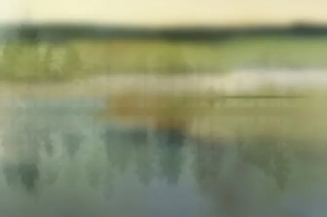 Tapeta Calm — dílec B