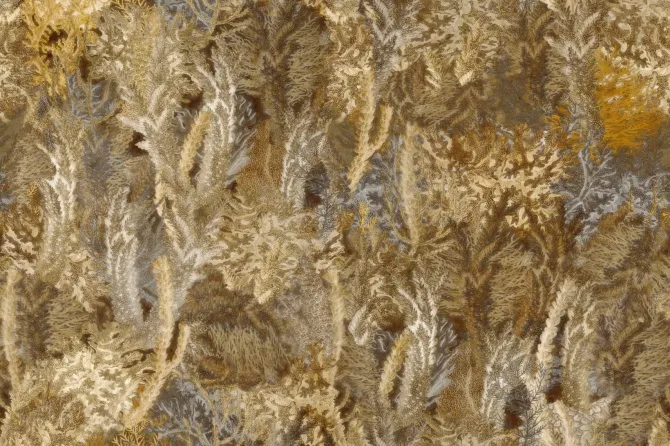 Tapeta Coral — dílec B
