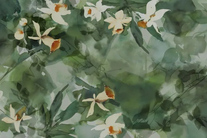 Tapeta Daffodil Dream — dílec B