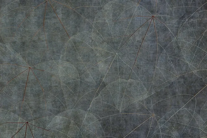 Tapeta Equinox — dílec B