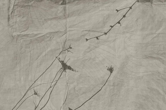 Tapeta Eupraxia — dílec B
