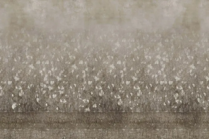 Tapeta Flea — dílec B