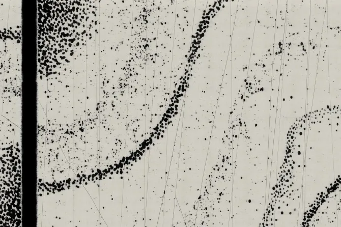 Tapeta Float — dílec B