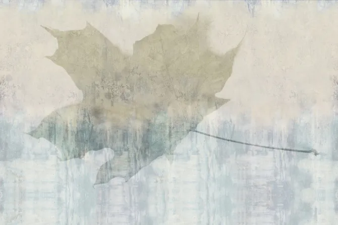 Tapeta Folium — dílec B