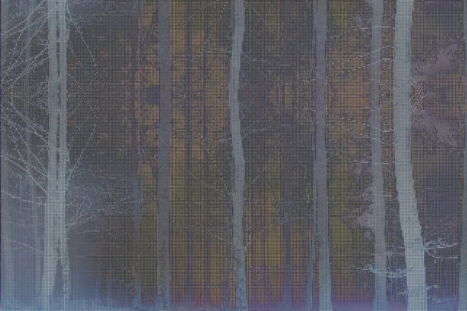 Tapeta Forest — dílec B