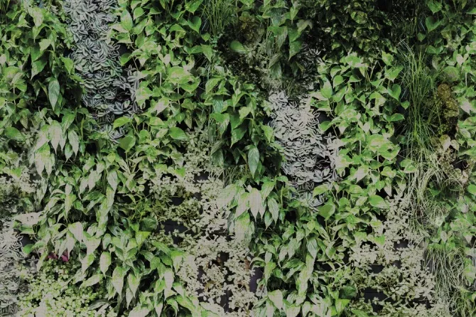Tapeta Garden — dílec B