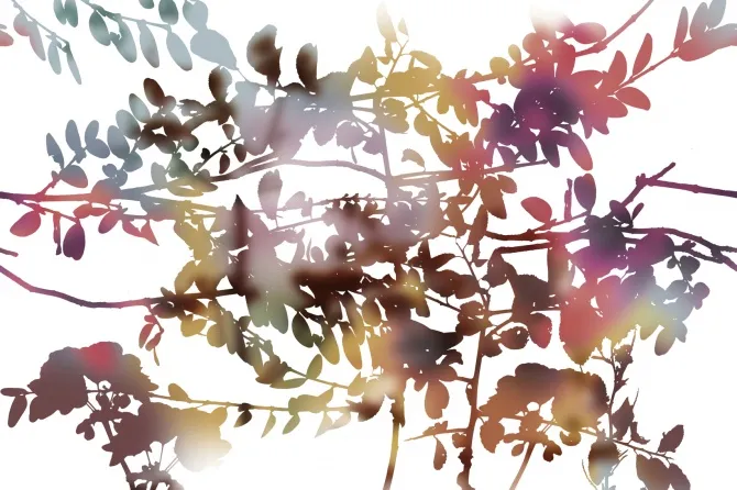 Tapeta Ghost Garden — dílec B