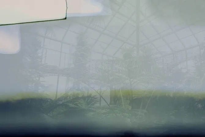 Tapeta Greenhouse — dílec B