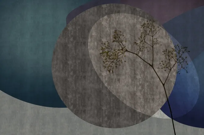 Tapeta Hope — dílec B