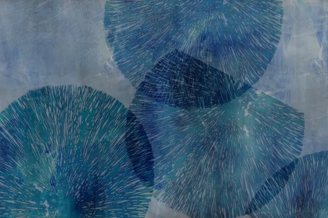 Tapeta Hydronetta — dílec B