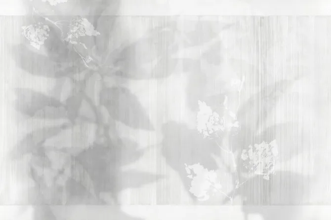 Tapeta Illusion — dílec B