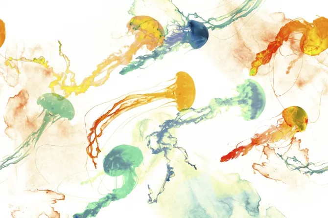 Tapeta Jellyfish — dílec B