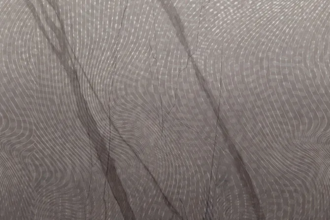 Tapeta Kiwi — dílec B