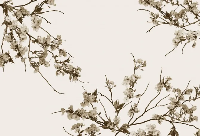 Tapeta Korean Blossom — dílec B