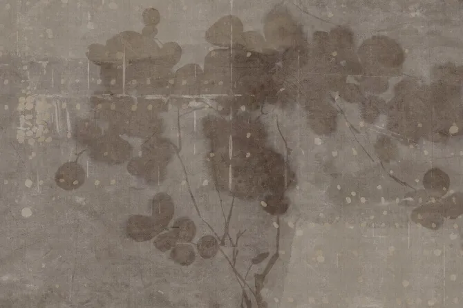 Tapeta Lunaria — dílec B