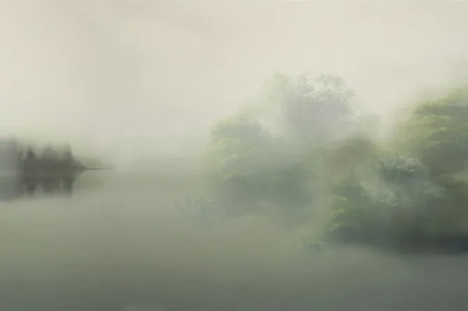 Tapeta Matinée — dílec B