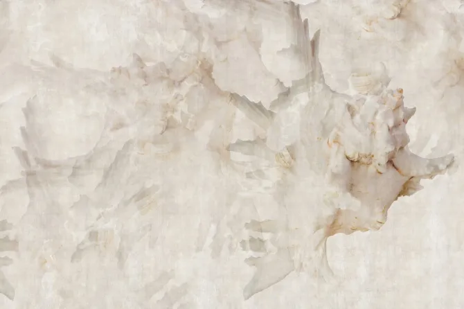 Tapeta Metamorfosi — dílec B