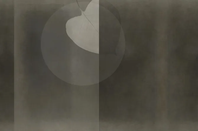 Tapeta Mezzaluna — dílec B