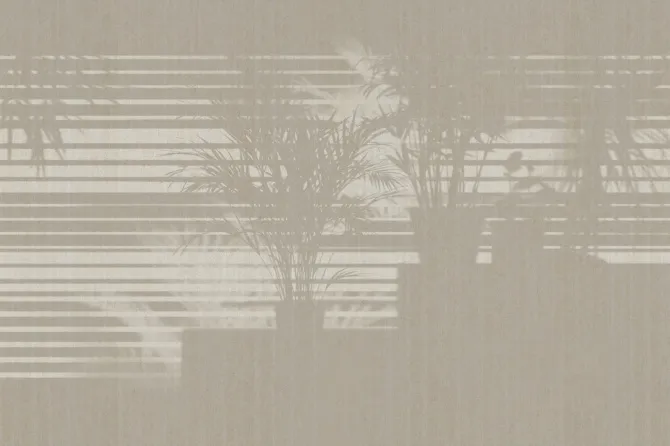 Tapeta Morning Light — dílec B