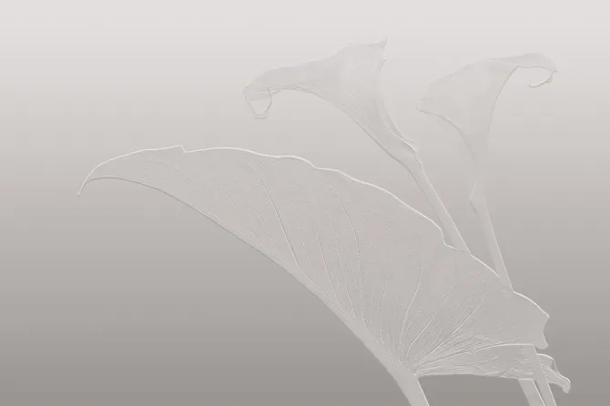 Tapeta Nancy Clare — dílec B