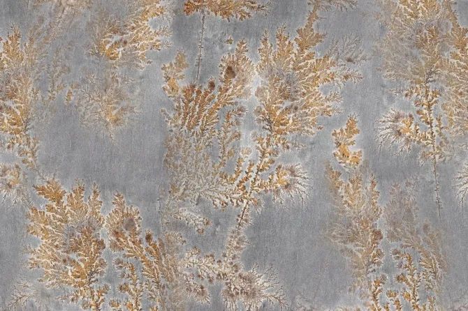 Tapeta Octocorallia — dílec B
