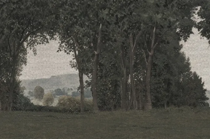 Tapeta Ouverture — dílec B