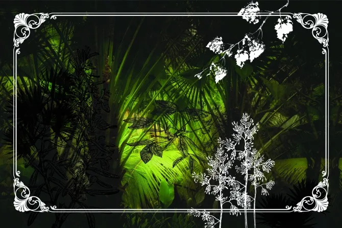Tapeta Palms — dílec B