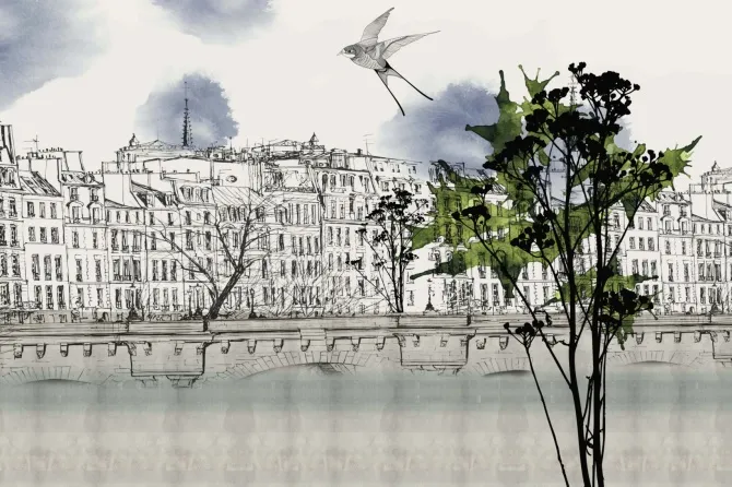 Tapeta Paris — dílec B