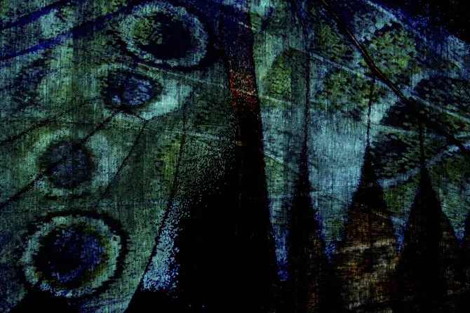Tapeta Paris Green — dílec B