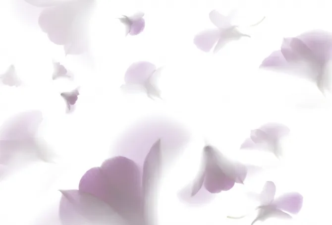 Tapeta Pink Rhapsody — dílec B