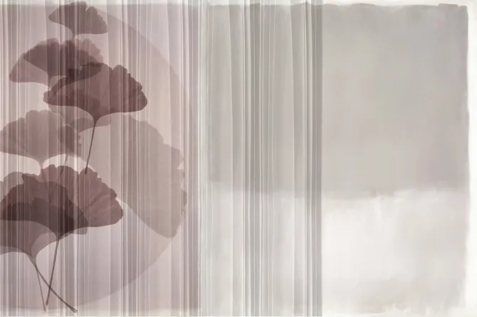 Tapeta Pliplat — dílec B