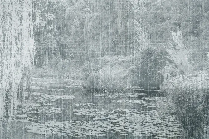 Tapeta Selva — dílec B