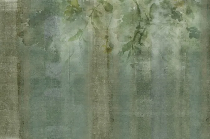 Tapeta Sempervirens — dílec B