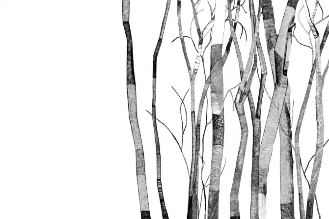 Tapeta Sheer — dílec B