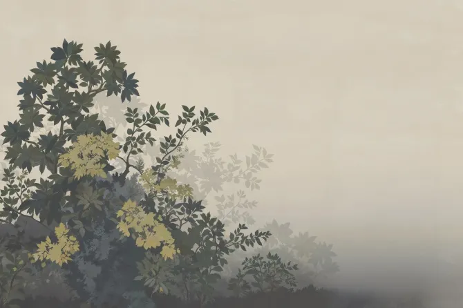 Tapeta Sospeso — dílec B