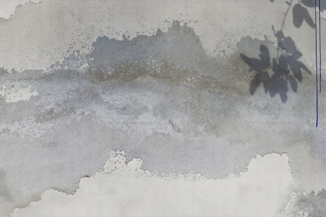 Tapeta Sovas — dílec B
