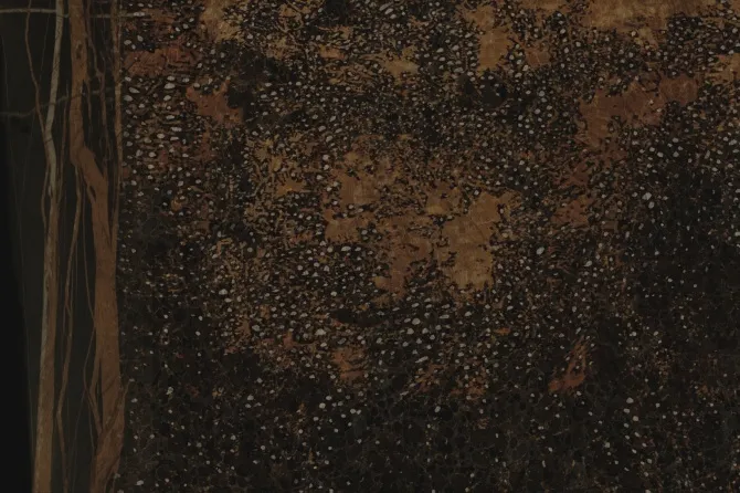 Tapeta Spezie — dílec B