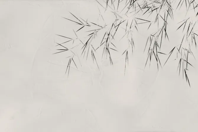 Tapeta Spike — dílec B
