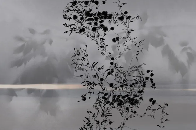 Tapeta Spoon river — dílec B