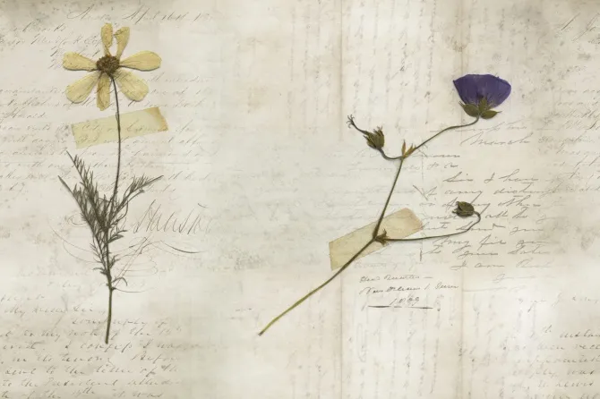 Tapeta Still Life — dílec B