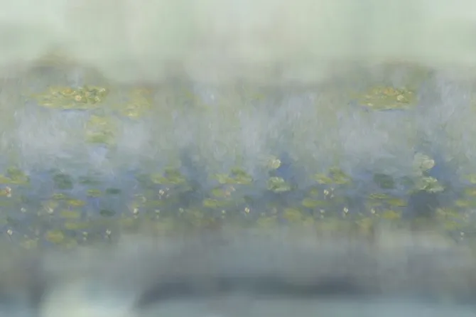 Tapeta Terramare — dílec B