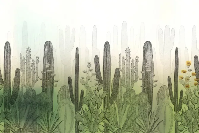 Tapeta Tierras — dílec B