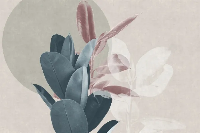 Tapeta Victoria — dílec B