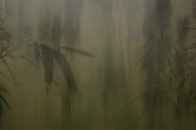 Tapeta Viridia — dílec B