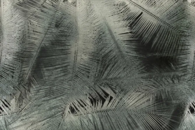 Tapeta Zenith — dílec B